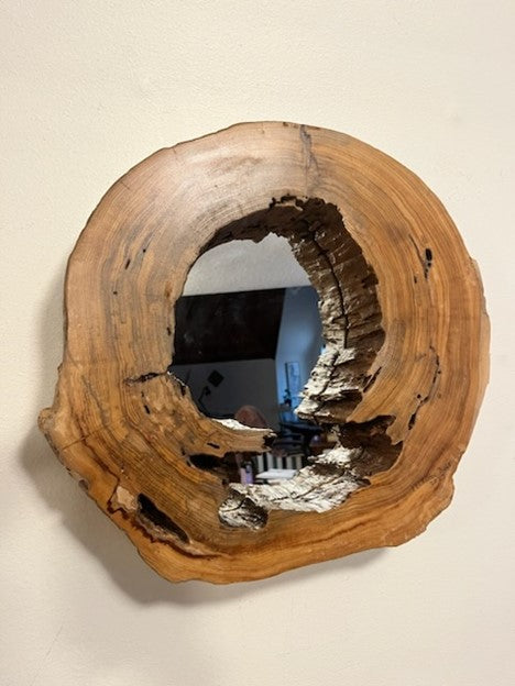 Hollow Cypress Log Mirror I