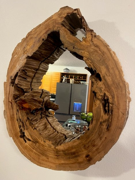 Hollow Cypress Log Mirror II