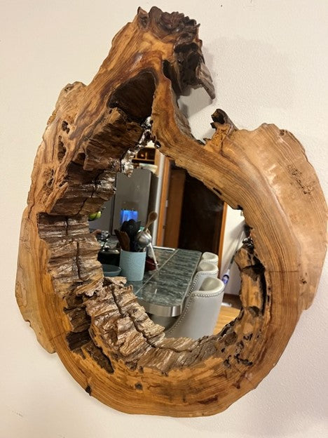 Hollow Cypress Log Mirror III