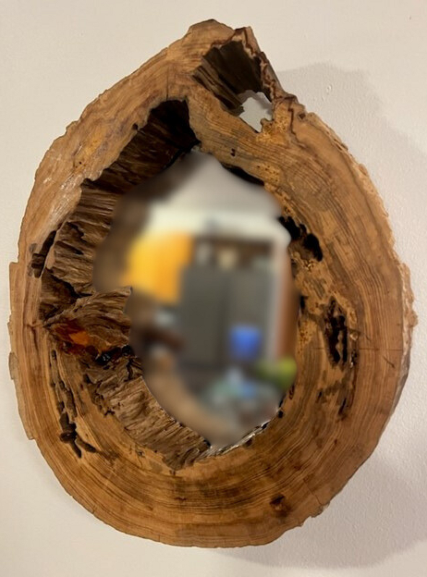 Hollow Cypress Log Mirror II