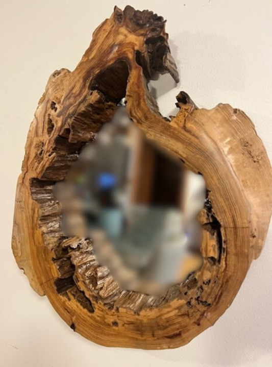 Hollow Cypress Log Mirror III